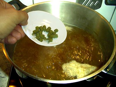 Hopfen zugeben